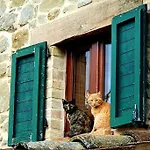 Σπίτι διακοπών Casa Flori & Leonardo's Comunanza