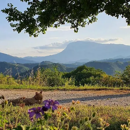 Casa Flori & Leonardo's