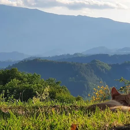 Prázdninový dům Casa Flori & Leonardo's