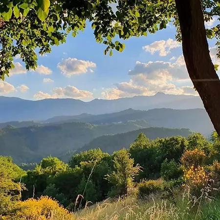 Casa Flori & Leonardo's * Comunanza