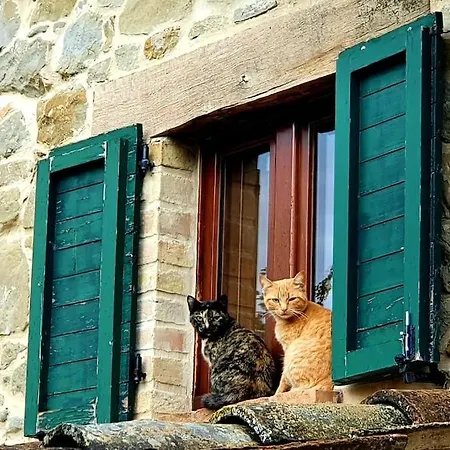 Prázdninový dům Casa Flori & Leonardo's Comunanza